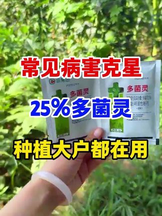 #多菌灵 #农业种植 #病虫害防治 #抖音助农 #三农