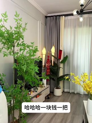 #李羲承 #李羲承符神颜 #李羲承让粉丝闭眼 #李羲成的无限魅力