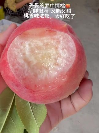 春蜜脆桃的快乐谁懂啊!咬一口下去满嘴爆汁💦又脆又甜,桃香浓郁,真的好好吃😋!!#脆桃党 #桃子熟了 #又脆又甜 #快来一起尝个鲜 #应季水果