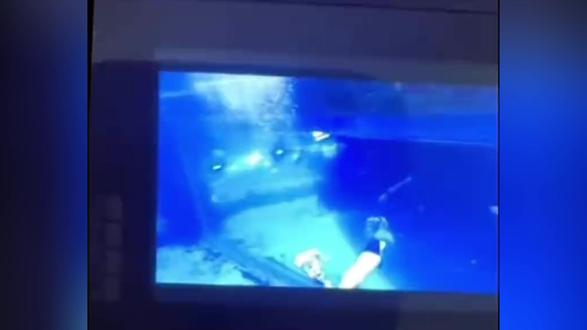 【“美人鱼”被鲨鱼袭击致残!手术5小时缝100多针 被判自担责30%】据沸点视频报道,2023年6月,李女士在江苏无锡融创海世界“诗巴丹潜水”进行模拟训练时,不幸被鲨鱼咬伤右手。