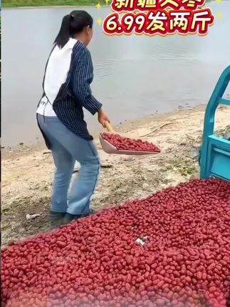 正宗新疆大红枣!软糯香脆,非常好吃!#新疆红枣 #大红枣 #红枣 #超便宜超划算