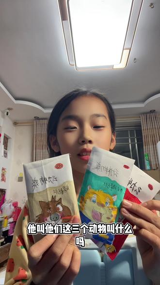 自制疯狂动物城盲袋#盲袋 #亲子 #手工diy 又是自己拍视频的一天