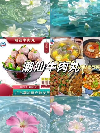 家好正宗潮汕牛肉丸牛筋丸火锅烧烤Q弹爆汁200g*10包 BESTHOME#牛肉丸 #牛筋丸