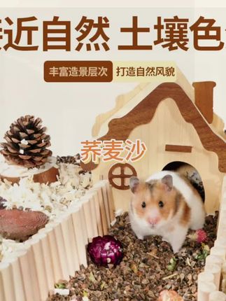 提野星生物酶荞麦砂仓鼠垫料夏季降温金丝熊吸水除臭颗粒杨木刨花 #荞麦砂垫料#夏季降温#仓鼠垫料#仓鼠垫料推荐 #吸水除臭@巨量千川 @巨量本地推 @小店随心推