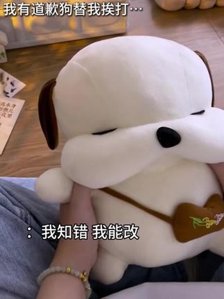 “真是被气笑了 男朋友为了哄我真是什么都做得出来哈哈哈哈太可爱啦”#毛绒玩具 #道歉狗 #情侣礼物 #毛绒公仔