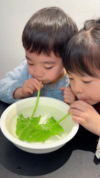 好玩有趣的“菠菜吹泡泡”也太有意思了,激发孩子的好奇心和探索欲,锻炼孩子的肺活量,关键是好玩到停不下来,一定要带孩子试试#趣味实验 #科学小实验 #在家做实验 #带娃日常