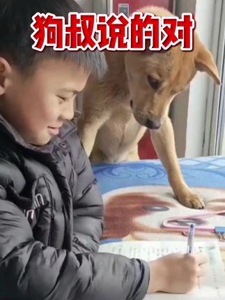 听你狗叔的没错#搞笑配音