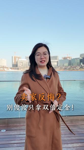 卖家反悔?别傻傻只拿双倍定金!#法律咨询 #律师咨询 #合同纠纷 #郑州律师 #郑州王卫华律师