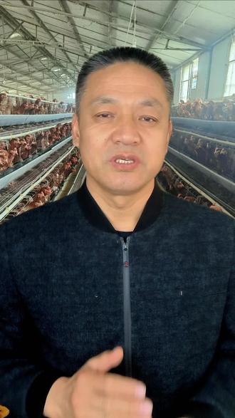 盲目调整饲料配方,引起的降蛋案例,养鸡10年也会犯的错误!#调整饲料配方导致降蛋 #鸡场营养师 #调整蛋鸡饲料 @DOU+小助手