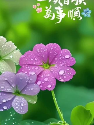 兄弟快码住啦!这茶喝着才叫爽呀!兄弟们听我说啊;这韭菜籽枸杞茶真得囤了!农家炒熟的韭菜籽颗颗焦香,配宁夏枸杞红得透亮,独立茶包,没熏硫没添加剂,打开袋子就是食材本味!泡出来茶汤清亮,喝着带点自然的甜。上班摸鱼,周末唠嗑随手来一杯,方便又实在。不吹虚不整花活,就靠原色原味圈粉,咱兄弟喝茶就得选这靠谱的…#韭菜籽枸杞茶 #韭菜籽 #韭菜籽枸杞 #超便宜超划算 #好东西一起分享