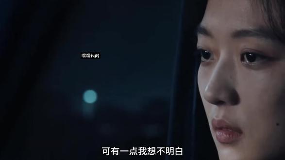 电视剧《有罪之身》完整版-10