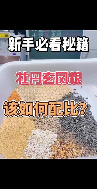 日常玄凤牡丹五谷混合粮 #鹦鹉粮 现配现发,现场打包,真空包装。一斤一袋,今天拍今天发,两到三天就到家。