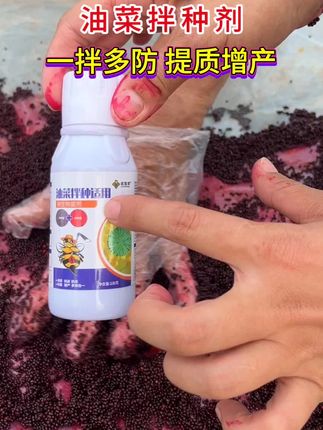 种油菜一定要先拌种,一拌多防,出苗齐出苗好,提质增产#油菜种植 #油菜拌种剂#油菜高产 #助农优品 #强烈推荐