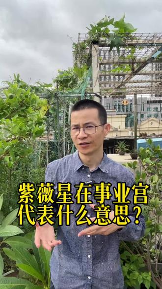 紫薇星在事业宫代表什么意思? #紫微知识分享 #风水玄学