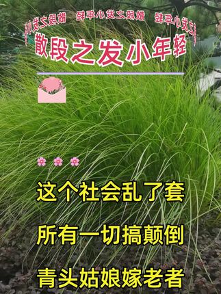 这段在经典散花下册#散花文#正能量#大实话