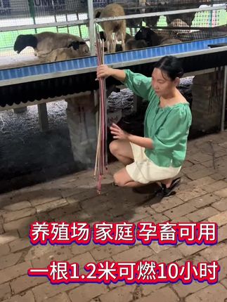 #养羊创业 #养羊人