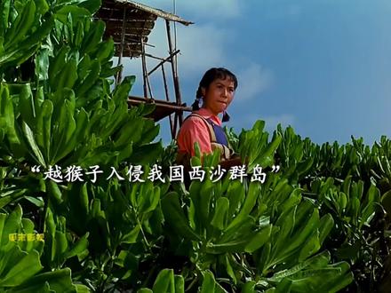 越猴子入侵我国西沙群岛,试图霸占,结果…………