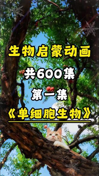 趣味生物启蒙动画课堂《单细胞生物的结构》 #初中生物 #生物启蒙 #启蒙动画 #初中生物知识点 #单细胞生物