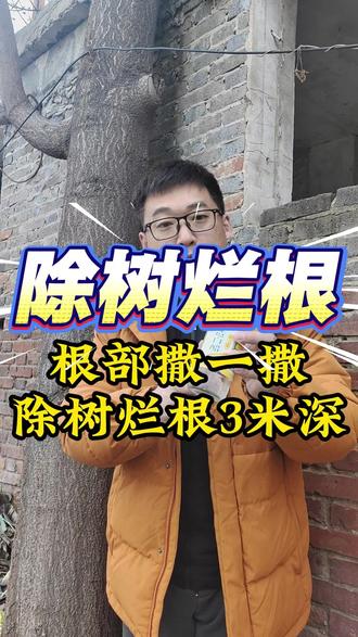 房前屋后、田间地头、公路铁路、厂房空地上的竹子、芦苇、杂灌、灌木、拉拉秧等,到底该用什么配方,才能把它们清理的干干净净#除竹子#除灌木#开荒#除树烂根