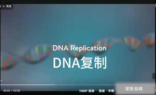 #科普 DNA的生物合成