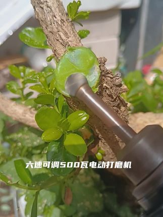 #电动工具#打磨机#盆景打磨#木雕