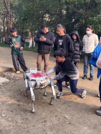 什么样的玩具适合陪伴宝宝?其实一个好的玩具,很多时候甚至能帮妈妈带娃