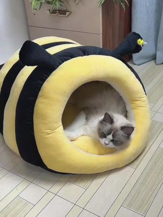 蜜蜂罐猫窝 冷空气快来了 给你家猫咪备上吧#猫窝#猫窝狗窝#保暖猫窝#蜜蜂罐猫窝