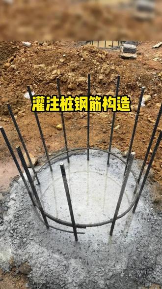 灌注桩钢筋设置要求 #建筑行业 #工程人 #三维识图一本通 #土木工程