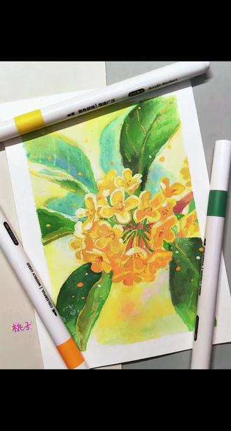 丙烯马克笔 | 桂花 花卉写生
#丙烯马克笔 #丙烯马克笔绘画 #桂花 #画画 #手绘