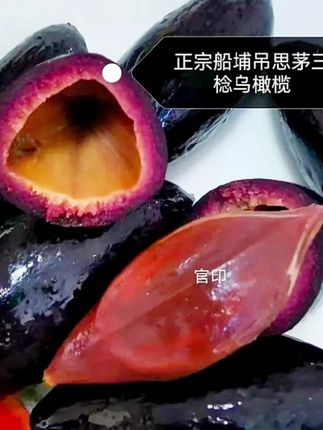 #潮汕特产 #吊思茅#葵丰盛生鲜果蔬供应链 #新农人 #乌榄 全世界最贵的乌榄,吊思茅三捻乌橄榄!乌榄油榄!