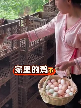 #抖音新农人 #养鸡 #三农养殖 #养鸡人 #鸡鸭鹅养殖