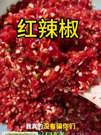 #原创视频 #新鲜辣椒酱纯手工 #无辣不欢 #辣椒 #新农人计划 朋友们我们的今年的新鲜红线椒大量上市了,新鲜的辣椒是现采现摘,每天都会给大家发一批货,保证大家收到的都是最新鲜的辣椒,如果你喜欢吃辣椒炒鸡蛋,炒菜的或者想做剁椒、辣椒酱的家人们,欢迎大家来品尝吧,好吃又实惠!两位数还给你包邮到家还不赶快动吗?