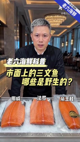 三文鱼科普 #创作灵感 别再被骗了!哪些三文鱼才是野生的? #宝妈辅食 #海鲜选购 #美食科普#三文鱼