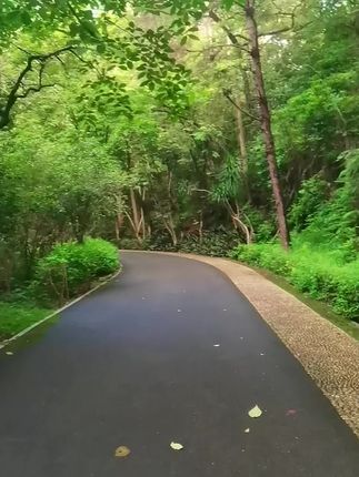 早晨各位老铁!好现实的一段话!#天然氧吧