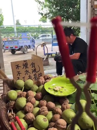 太行山鲜核桃,薄壳脆嫩全家人都爱,还包邮哦! 今天下午开始发货了!下单后拍下就发哦~包邮到家!#三农#优质农产品#新鲜采摘#应季水果#核桃