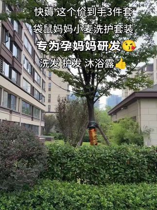 准妈妈们不要再用普通的洗发水啦,袋鼠妈妈这款洗护三件套有洗发水,护发素和沐浴露,整个孕期和哺乳期都能用,里面的成分很安全,自己用着很放心。专为孕妈妈研发的,使用后肌肤状态也很好,全家都可以放心使用。#沐浴露推荐 #好物推荐🔥 #孕妇洗发水 #孕期好物分享#洗护好物