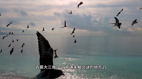 百慕大三角,一个充满未解之谜的地方(15) #未解之谜 #百慕大三角