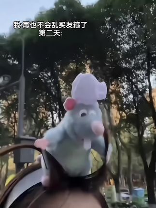 带我的鼠鼠出门兜风咯#有趣 #料理鼠王 #艾特你想艾特的人