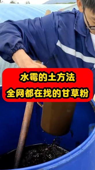 全网都在找的水霉土方法#水产养殖#混养塘#越冬管理#养鱼人