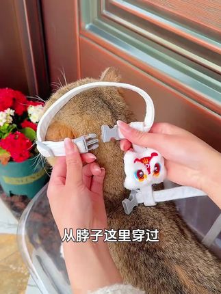 大语文时代,语文考试知识面非常灵活,一定要帮孩子多积累这些百科常识 #育儿 #家庭教育 #百科知识 #文学常识