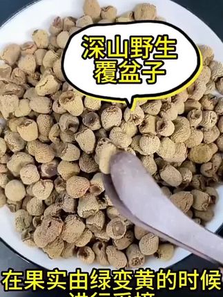 覆盆子正宗浙江覆盆子精选正品泡水泡酒颗粒饱满手工挑选