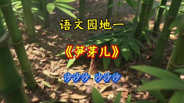 第 19 集 |语文园地一|《笋芽儿》美文鉴赏 #真实生活分享计划 #二年级语文下册 #家长收藏孩子受益 #每天学习一点点 #考试