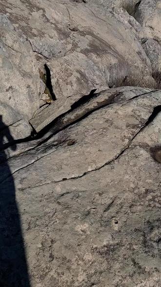 冰臼是指第四纪冰川后期,冰川融水携带冰碎屑、岩屑物质,沿冰川裂隙自上向下以滴水穿石的方式,对下覆基岩进行强烈冲击和研磨,形成看似我国古代用于舂米的石臼。它是古冰川遗迹之一。