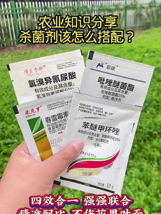 上百种病害一套打净。除了豆角任何作物都可以使用#三农流量扶持计划 #农业种植 #效果好 #农业技术推广 #种植小技巧