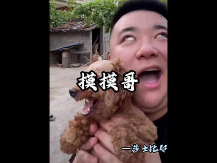 他被称为狂犬疫苗金牌业务员,他是全网模仿者众多却始终难以被复刻的独特存在,是 “邪恶小泰迪” 与“丽水狂犬疫苗批发商” 表情包背后的主人公,他用充满烟火气又搞笑的日常,让人与狗的故事充满反转与欢乐。
#搞笑 #人物故事 #摸摸哥 #抽象