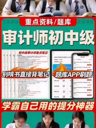 2025年初级中级审计师三色资料笔记题目电子版#审计师#审计师考试#审计师备考 #审计师押题 #审计