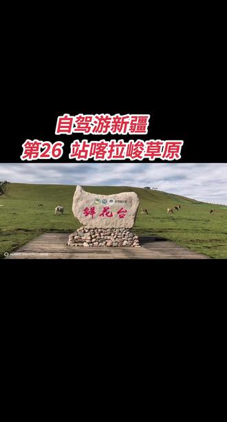 第26站 游喀拉峻草原
7月24日,我们从特克斯出发,导航到喀拉峻草原东门游客中心。
喀拉峻草原位于伊犁特克斯县、天山北麓,世界自然遗产,国家5A级景区 ,总面积约2848km²,海拨2500米左右,主要是立体草原,起伏草甸、雪山、云杉、峡谷、花海交织,区别于平面草原,被称空中草原、人体草原。我们办理自驾票后,车开到万纳服务区换乘区间车到鲜花台、猎鹰台。
第一站去鲜花台,是五花草甸,5-7月最佳,漫山野花,雪山背景,木栈道平缓好走,花海核心机位,是打卡的好地方。
第二站猎鹰台,草原最佳位,视野开阔,远眺天山雪山、库尔代峡谷,云杉林。可骑马游玩,傍晚光影极佳,俯瞰人体草原远景。
第三站库尔代森林大峡谷。幽深河谷,雪岭云杉、,蜿蜒溪流,可轻徒步深入,草原+森林峡谷双重景观。
游览完喀拉峻草原已经是下午3点多,捎微休息了一会,我们驾车走过乡道、县道、国道往那拉提镇前往,晚上我们住那拉提镇