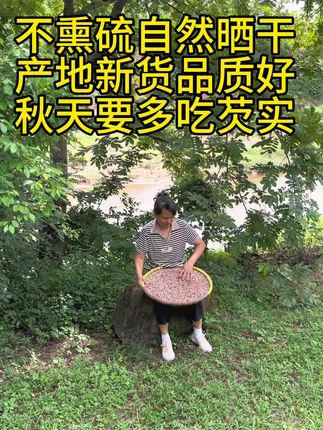 芡实在古代,朝廷进贡佳品,庶民不可食,可见其价值,作为养生芡实是必不可少的食材……#优质农产品#芡实#原产地#家乡特产