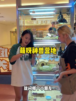 综艺里的游戏搬进现实太太太好玩了吧!!#萌呀神兽乐园 #萌呀神兽营地 #厦门 #厦门游玩推荐 #国庆