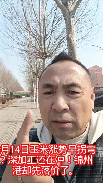 3月14日玉米涨势早拐弯?深加工还在冲!锦州港却先落价了。